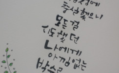 캘리그라피의 아름다움을 가슴에 담다.