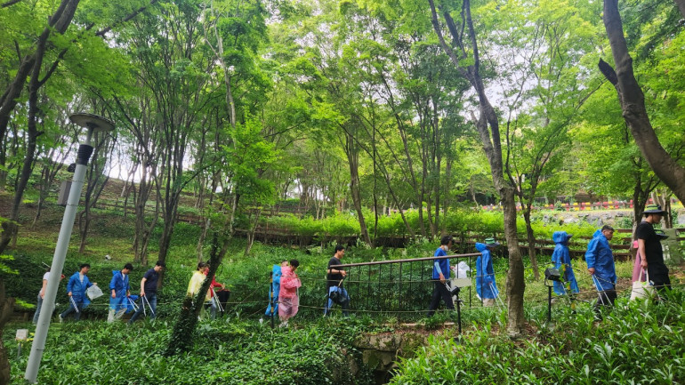 비오는 날 플로킹